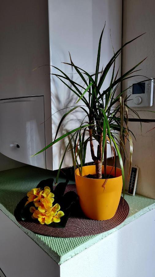 Apartement *Harzblick* Nordhausen Eksteriør bilde